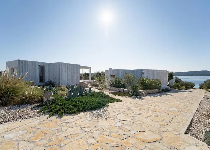 فيلة Flow Buqez *